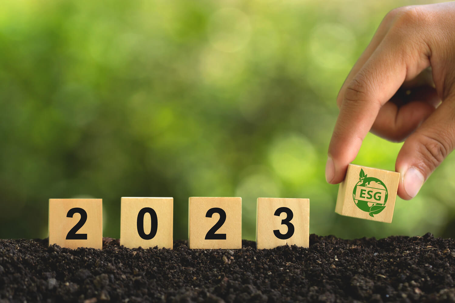 Sustainability Resolutions for 2023