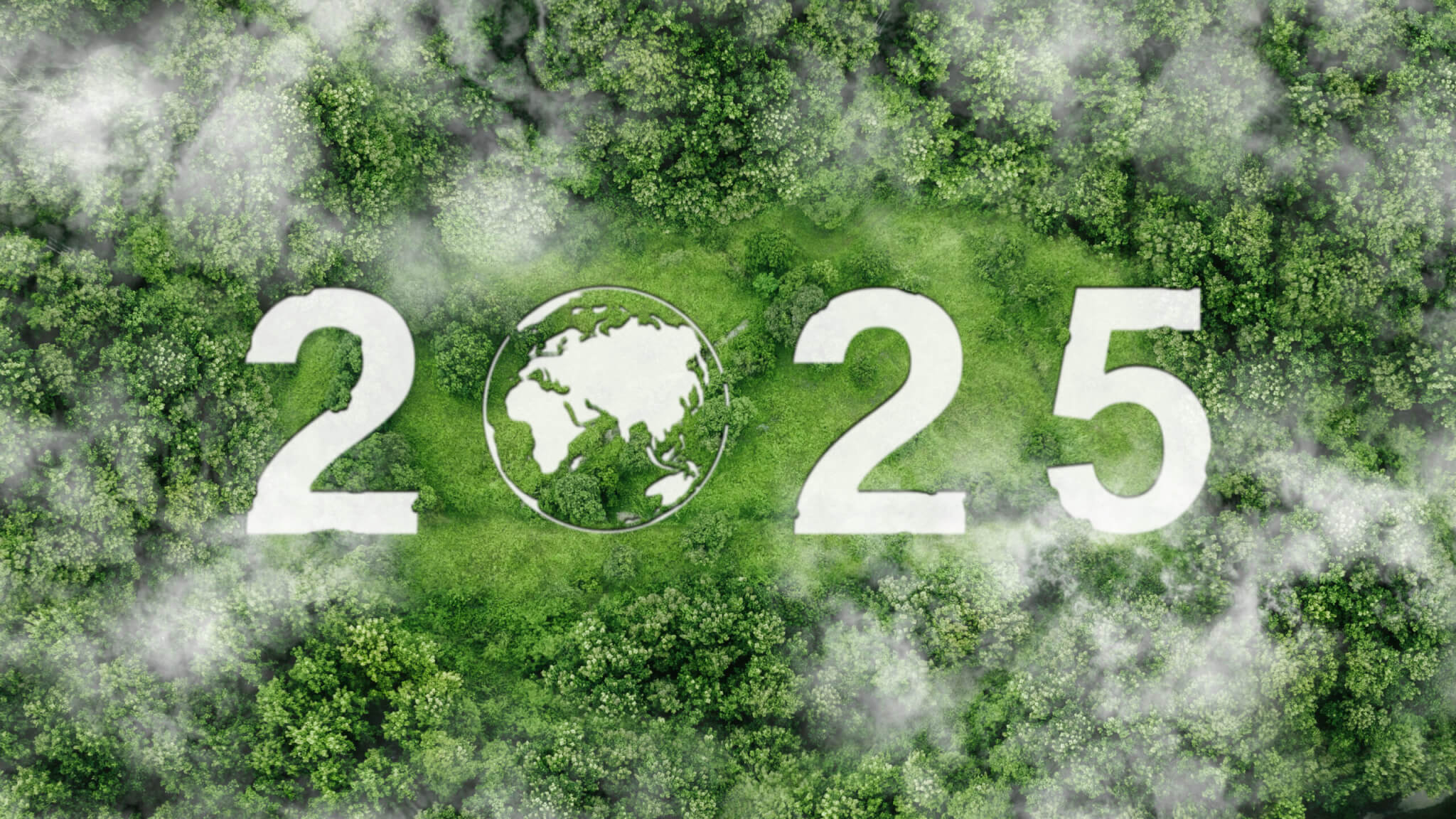 2025 Trends and Predictions for Sustainability